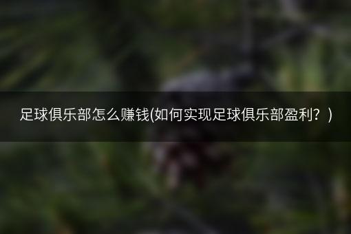 足球俱乐部怎么赚钱(如何实现足球俱乐部盈利？)