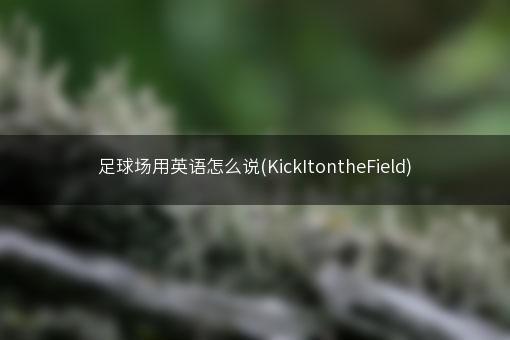 足球场用英语怎么说(KickItontheField)