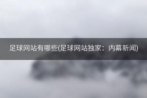 足球网站有哪些(足球网站独家：内幕新闻)