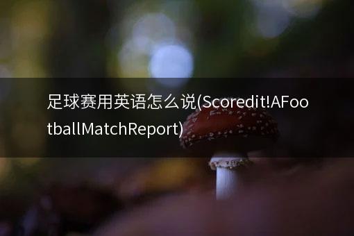 足球赛用英语怎么说(Scoredit!AFootballMatchReport)