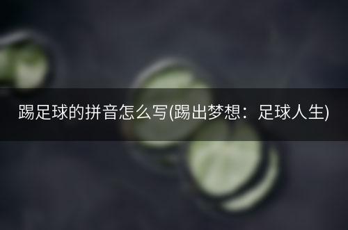 踢足球的拼音怎么写(踢出梦想：足球人生)