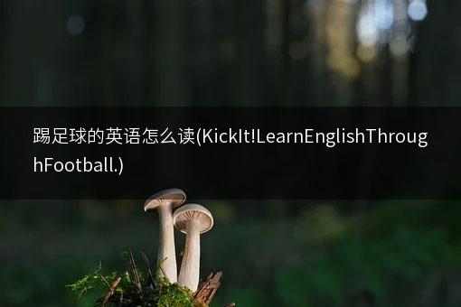 踢足球的英语怎么读(KickIt!LearnEnglishThroughFootball.)