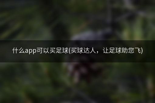 什么app可以买足球(买球达人，让足球助您飞)