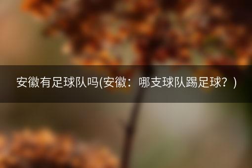 安徽有足球队吗(安徽：哪支球队踢足球？)