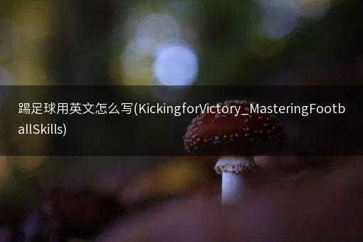 踢足球用英文怎么写(KickingforVictory_MasteringFootballSkills)