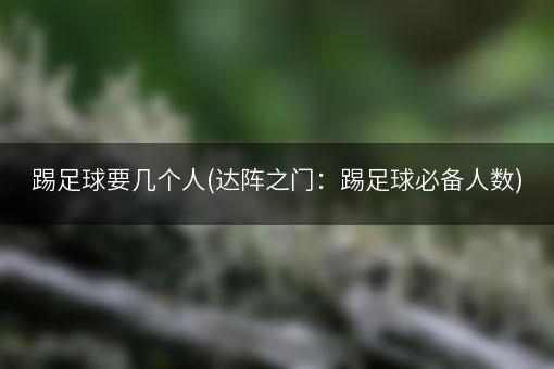 踢足球要几个人(达阵之门：踢足球必备人数)