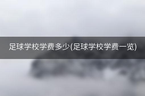 足球学校学费多少(足球学校学费一览)