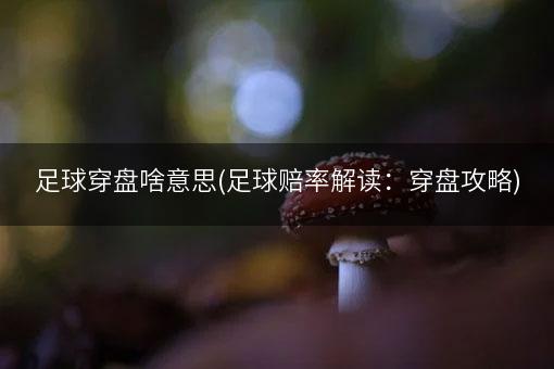 足球穿盘啥意思(足球赔率解读：穿盘攻略)