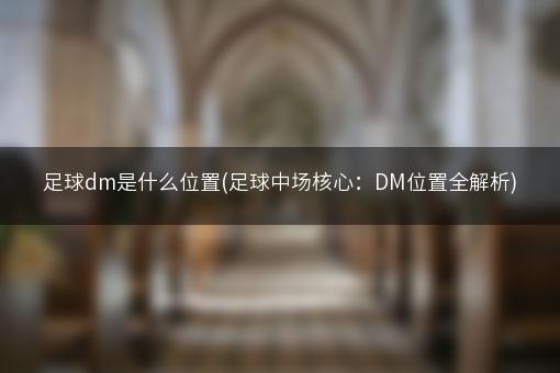 足球dm是什么位置(足球中场核心：DM位置全解析)