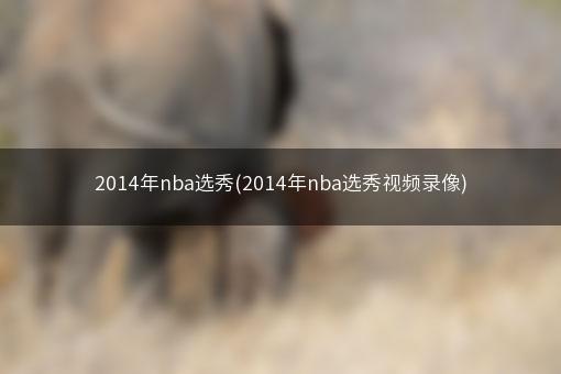 2014年nba选秀(2014年nba选秀视频录像)