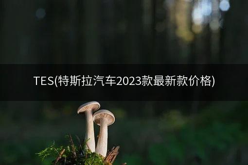 TES(特斯拉汽车2023款最新款价格)