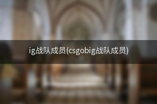 ig战队成员(csgobig战队成员)