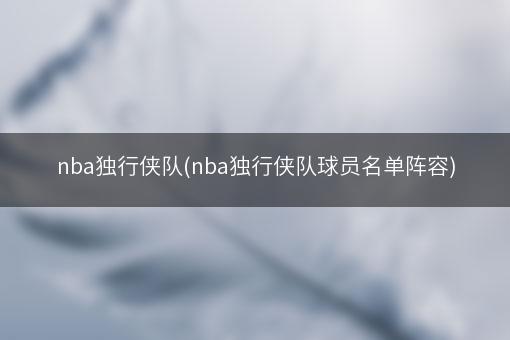 nba独行侠队(nba独行侠队球员名单阵容)