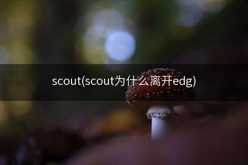 scout(scout为什么离开edg)