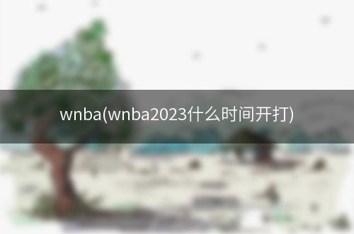 wnba(wnba2023什么时间开打)