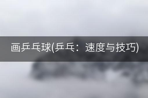 画乒乓球(乒乓：速度与技巧)