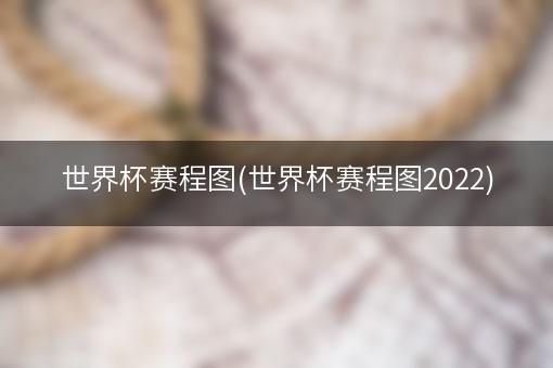 世界杯赛程图(世界杯赛程图2022)