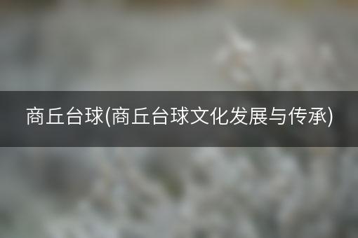 商丘台球(商丘台球文化发展与传承)