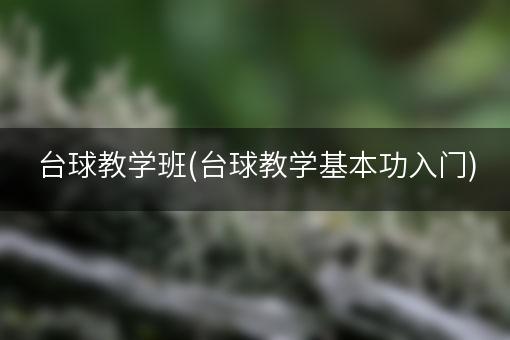 台球教学班(台球教学基本功入门)