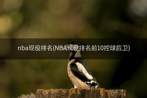 nba现役排名(NBA现役排名前10控球后卫)