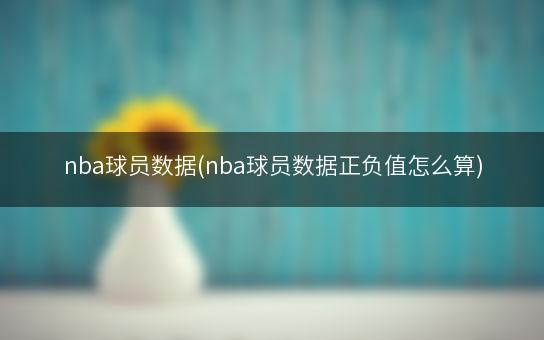 nba球员数据(nba球员数据正负值怎么算)