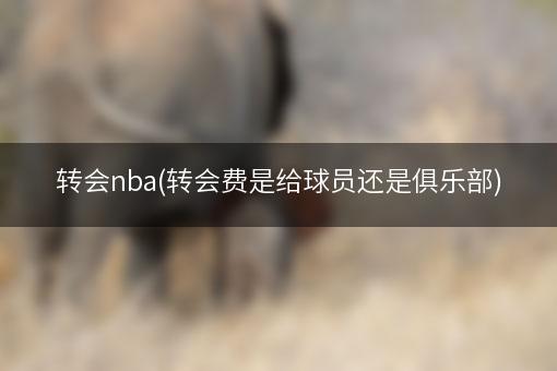 转会nba(转会费是给球员还是俱乐部)