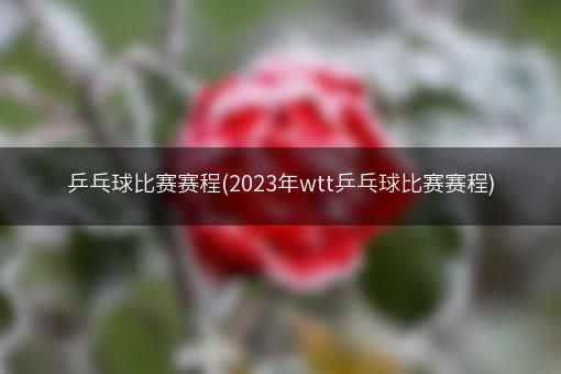 乒乓球比赛赛程(2023年wtt乒乓球比赛赛程)