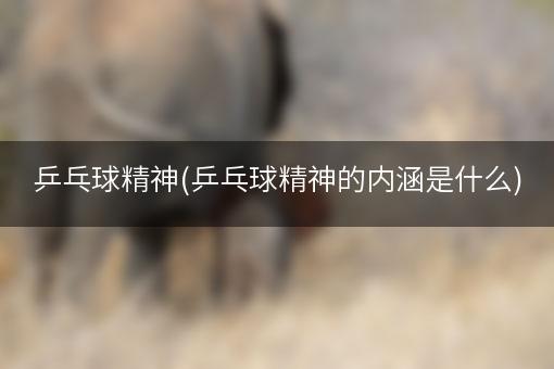 乒乓球精神(乒乓球精神的内涵是什么)