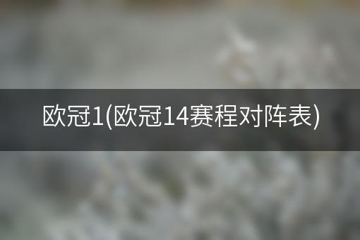 欧冠1(欧冠14赛程对阵表)