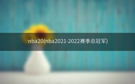 nba20(nba2021-2022赛季总冠军)