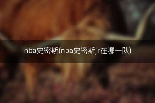 nba史密斯(nba史密斯jr在哪一队)