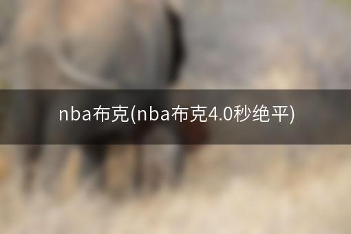 nba布克(nba布克4.0秒绝平)