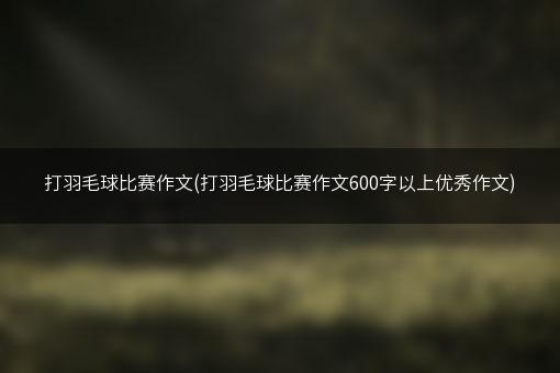 打羽毛球比赛作文(打羽毛球比赛作文600字以上优秀作文)