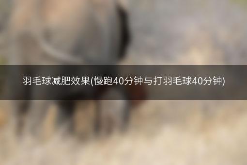 羽毛球减肥效果(慢跑40分钟与打羽毛球40分钟)