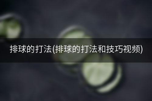 排球的打法(排球的打法和技巧视频)