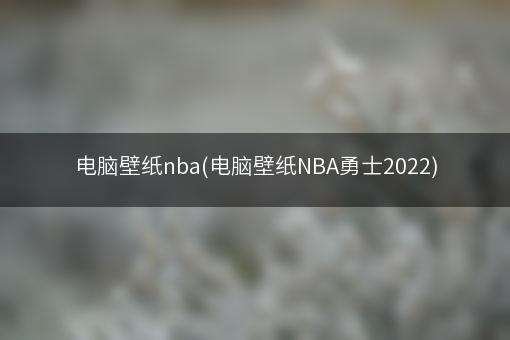 电脑壁纸nba(电脑壁纸NBA勇士2022)