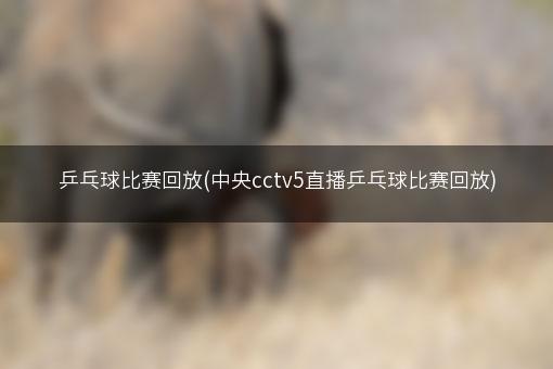 乒乓球比赛回放(中央cctv5直播乒乓球比赛回放)