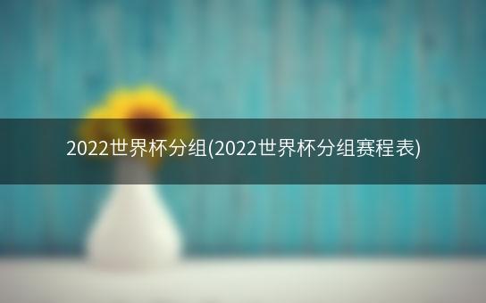 2022世界杯分组(2022世界杯分组赛程表)