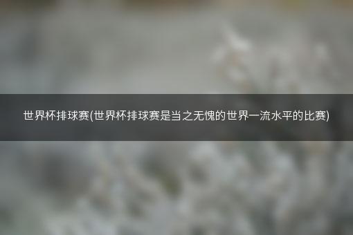 世界杯排球赛(世界杯排球赛是当之无愧的世界一流水平的比赛)