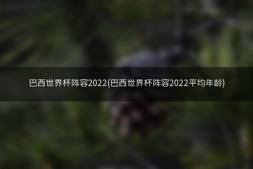 巴西世界杯阵容2022(巴西世界杯阵容2022平均年龄)