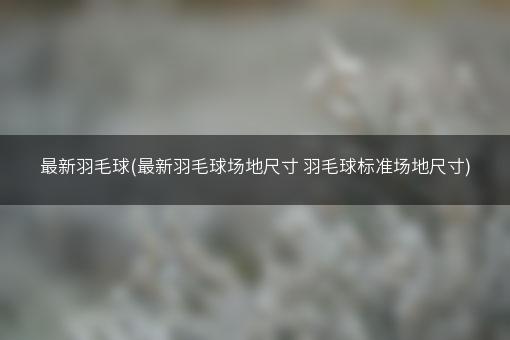 最新羽毛球(最新羽毛球场地尺寸 羽毛球标准场地尺寸)