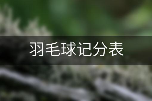 羽毛球记分表