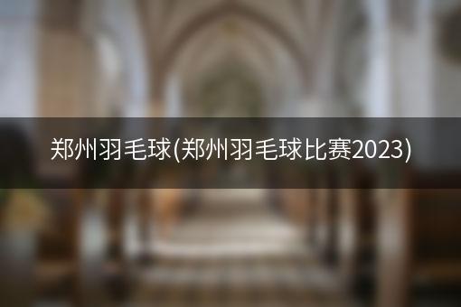 郑州羽毛球(郑州羽毛球比赛2023)