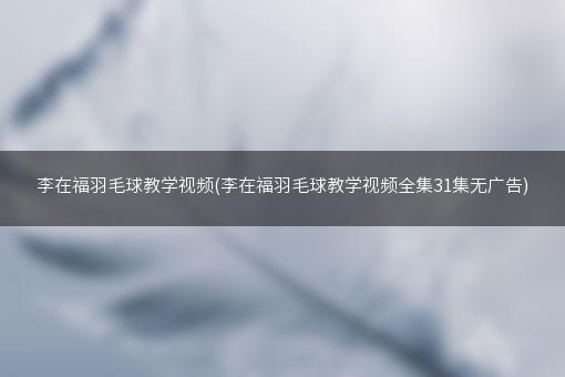 李在福羽毛球教学视频(李在福羽毛球教学视频全集31集无广告)